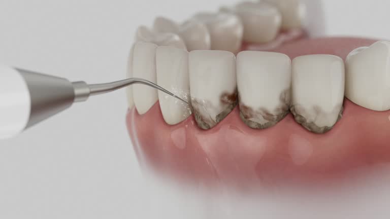 Reliable Dental contractor in Berwyn, IL by Dentist Open Now